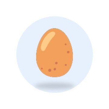 Brown Eggs