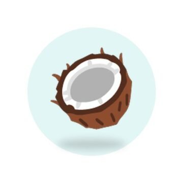 Coconut Hair Oil