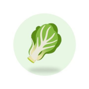 Fresh Spinach