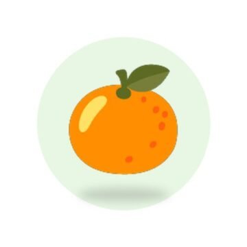 Nagpur Orange