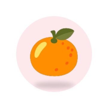 Orange Fizz