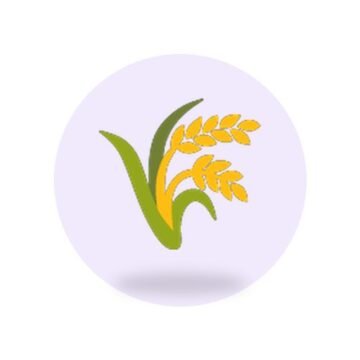 Rolled Oats
